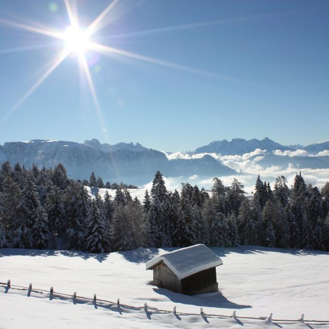 Christmas Market Bolzano Winter Holidays in South Tyrol Advent on the Renon Snow and Sun