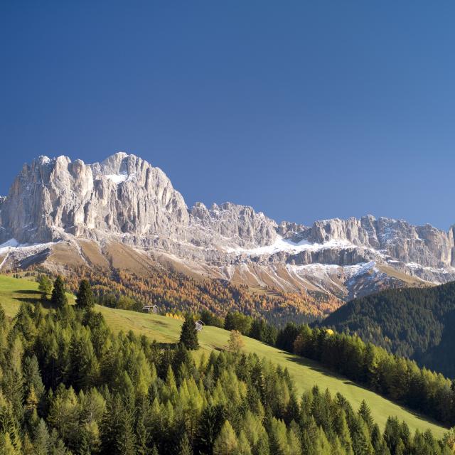 Naturehotel South Tyrol Mountains Dolomites Catinaccio Panorama