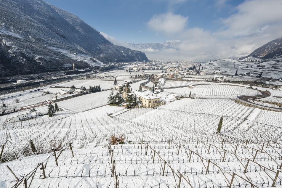 Land des Weines Südtirol Sankt Magdalena Panorama Schnee Weinreben Winter