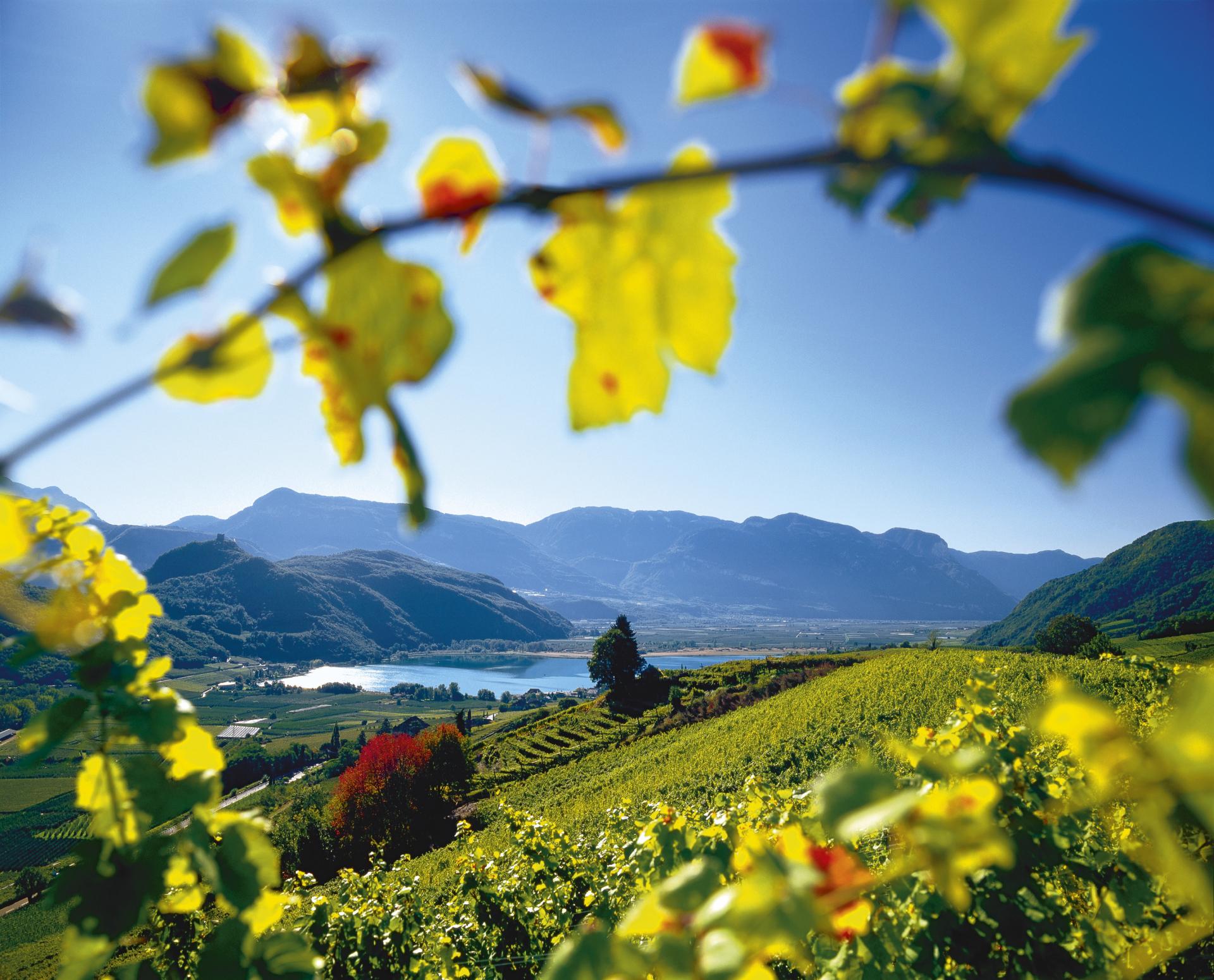 Autunno Alto Adige Trentino Montagna Lago Caldaro Vino Foglie Colorati Mondo Meraviglioso